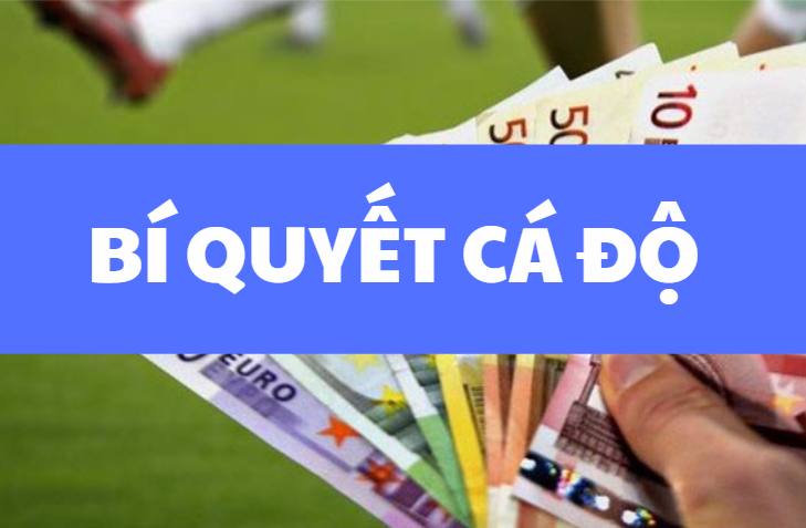bi quyet ca do