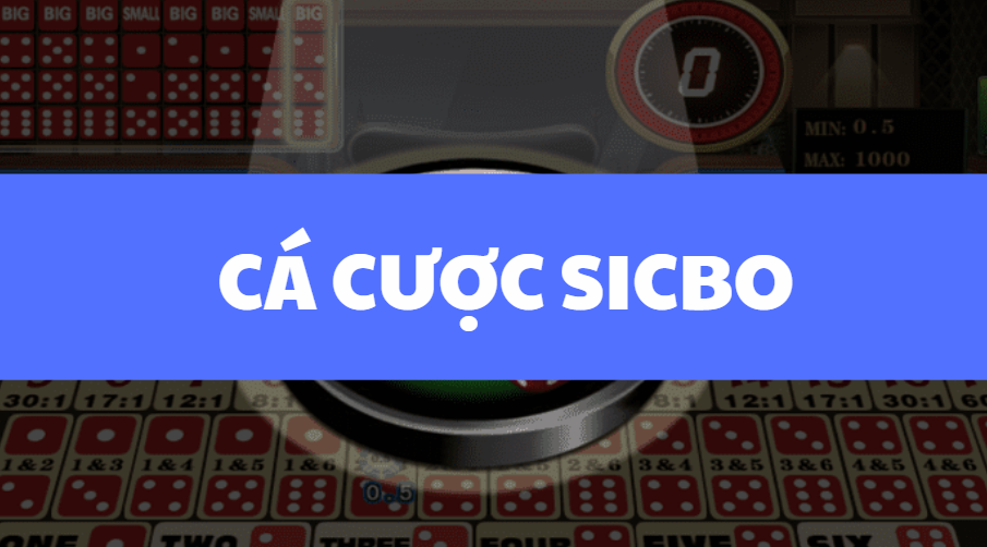 ca cuoc sicbo